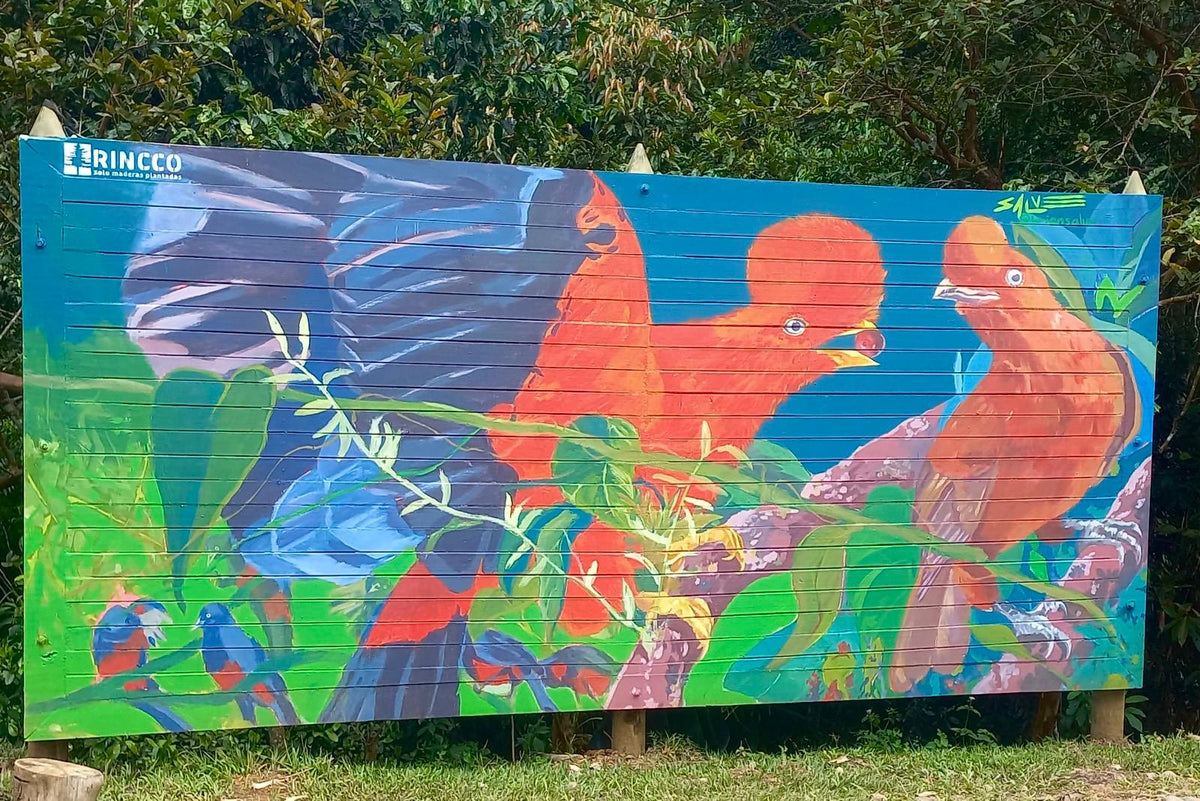 Educación y Cultura
